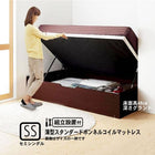 ベッド ガス式跳ね上げ セミシングル 薄型スタンダードボンネルコイル 横開き 深さグランド 組立設置付