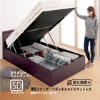 跳ね上げベッド 組立設置付 薄型スタンダードボンネルコイル 縦開き セミダブル 深さレギュラー