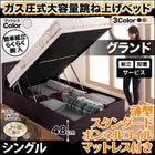 跳ね上げベッド 組立設置付 薄型スタンダードボンネルコイル 縦開き シングル 深さグランド