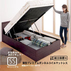 跳ね上げベッド 組立設置付 薄型プレミアムボンネルコイル 縦開き セミシングル 深さレギュラー