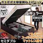 跳ね上げベッド 組立設置付 フランスベッド マルチラススーパースプリング 縦開き セミダブル 深さレギュラー