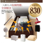 ベッド 収納 跳ね上げ セミダブル マットレス付き フランスベッド マルチラススーパースプリング横開き 深さ グランド 組立設置付