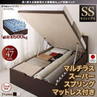 ベッド フランスベッド マルチラススーパースプリングマットレス付き 縦開き ガス式跳ね上げ セミシングル 深さグランド お客様組立