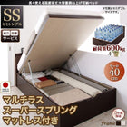 ベッド フランスベッド マットレス付き マルチラススーパースプリング 縦開き ガス式跳ね上げ セミシングル 深さラージ 組立設置付