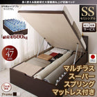 ベッド フランスベッド マットレス付き マルチラススーパースプリング 縦開き ガス式跳ね上げ セミシングル 深さグランド 組立設置付