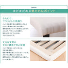 親子ベッド 薄型・抗菌国産ポケットコイル 下段ベッド シングル ショート丈