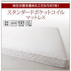 ローベッド ライト・棚・コンセント スタンダードボンネルコイル クイーン(Q×1)