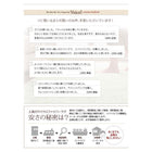 ラグ シャギーラグ 190×280 選べる12色×6サイズ ミックスカラー ふかふか マイクロファイバー