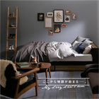 収納ベッド ベッドフレームのみ マットレス無し ダブル 棚・コンセント