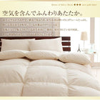 羽毛掛布団 セミダブル ニューゴールドラベル