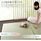 ガス圧式跳ね上げ畳ベッド 中国産畳 セミダブル 深さラージ日本製