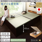 ガス圧式跳ね上げ畳ベッド 国産畳 セミダブル 深さラージ組立設置付 日本製