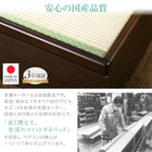 ガス圧式跳ね上げ畳ベッド 国産畳 セミダブル 深さグランド組立設置付 日本製
