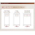 収納ベッド ガス圧式跳ね上げ 組立設置付 薄型スタンダードボンネルコイル 縦開き セミダブル 深さラージ