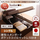 収納ベッド ガス圧式跳ね上げ 組立設置付 薄型スタンダードポケットコイル 縦開き シングル 深さラージ