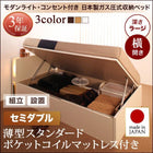 収納ベッド ガス圧式跳ね上げ 組立設置付 薄型スタンダードポケットコイル 横開き セミダブル 深さラージ