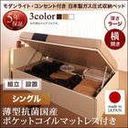 収納ベッド ガス圧式跳ね上げ 組立設置付 薄型抗菌国産ポケットコイル 横開き シングル 深さラージ