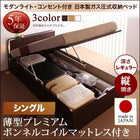 収納ベッド ガス圧式跳ね上げ 薄型プレミアムボンネルコイル 縦開き シングル 深さレギュラー