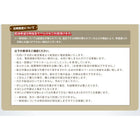 収納ベッド シングル 跳ね上げ 深型 日本製 ガス圧式 薄型プレミアムポケットコイルマットレス付 深さグランド