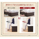収納ベッド 跳ね上げ 薄型スタンダードポケットコイル シングル 深さグランド