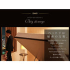 収納ベッド セミシングル 跳ね上げ 薄型スタンダードボンネルコイルマットレス付き 横開き 深さレギュラー