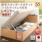 ベッド セミシングル ベッド 跳ね上げ 収納 薄型スタンダードポケットコイル 横開き 組立設置付 深さレギュラー