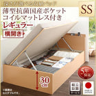 ベッド セミシングル ベッド 跳ね上げ 収納 薄型抗菌国産ポケットコイル 横開き 組立設置付 深さレギュラー