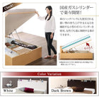 ベッド セミシングル ベッド 跳ね上げ 収納 薄型プレミアムボンネルコイル 横開き お客様組立 深さグランド