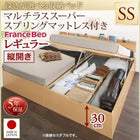 ベッド セミシングル フランスベッドマットレス付き マルチラススーパースプリング 縦開き お客様組立 深さレギュラー 跳ね上げ収納