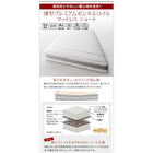 収納ベッド 国産跳上げ 薄型抗菌国産ポケットコイル 横開き セミシングル ショート丈 深さラージ