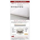 すのこベッド 組立設置付 大容量収納庫付き 薄型スタンダードボンネルコイル セミダブル 深さレギュラー