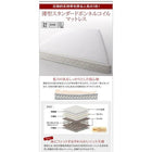 すのこベッド大容量収納庫付き 薄型プレミアムボンネルコイル シングル 深さレギュラー