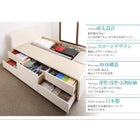 収納ベッド 国産 薄型スタンダードポケットコイル シングル