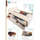 収納ベッド 国産 薄型プレミアムボンネルコイル ダブル