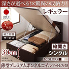 シングルベッド ベット 跳ね上げ 収納 薄型プレミアムボンネルコイル 縦開き 深さレギュラー 組立設置付
