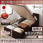 ベッド セミシングル ベッド 跳ね上げ 収納 薄型抗菌ポケットコイル 縦開き 深さラージ 組立設置付