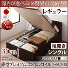 シングルベッド ベット 跳ね上げ 収納 薄型プレミアムボンネルコイル 縦開き 深さレギュラー お客様組立
