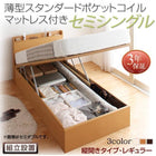 ベッド セミシングル 跳ね上げ 収納 薄型スタンダードポケットコイル 縦開き 深さレギュラー 組立設置付