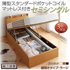 ベッド 跳ね上げ セミシングル 収納 薄型スタンダードポケットコイル 縦開き 深さラージ 組立設置付