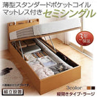 ベッド 跳ね上げ セミシングル 収納 薄型スタンダードポケットコイル 縦開き 深さラージ 組立設置付