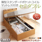 ベッド 跳ね上げ 収納 セミダブル 薄型スタンダードポケットコイル縦開き 深さレギュラー 組立設置付