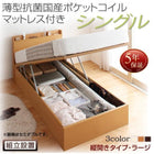 跳ね上げ ベッド 収納 シングル 薄型抗菌国産ポケットコイル 縦開き 深さラージ 組立設置付