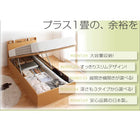 跳ね上げ ベッド 収納 セミダブル 薄型抗菌ポケットコイル縦開き 深さラージ お客様組立