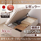 ベッド セミシングルベッド 収納 跳ね上げ 薄型スタンダードボンネルコイル 横開き 深さレギュラー 組立設置付