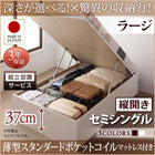 ベッド 収納ベット セミシングル 跳ね上げ 薄型スタンダードポケットコイル 縦開き 深さラージ 組立設置付