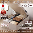 ベッド 収納ベット セミシングル 跳ね上げ 薄型プレミアムボンネルコイル 縦開き 深さレギュラー 組立設置付