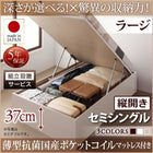 ベッド 収納ベット セミシングル 跳ね上げ 薄型抗菌ポケットコイル 縦開き 深さラージ 組立設置付