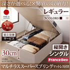 ベッド フランスベッド マルチラススーパースプリングマットレス付き 縦開き シングル 深さレギュラー 組立設置付 跳ね上げ 収納