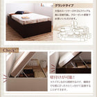 ベッド ベット 収納 セミダブル ベッドフレームのみ 横開き 深さラージ お客様組立 跳ね上げ