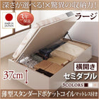 ベッド ベット 収納 セミダブル 薄型スタンダードポケットコイル 横開き 深さラージ お客様組立 跳ね上げ